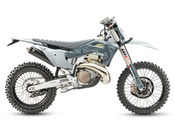 TE 300 PRO                          2026