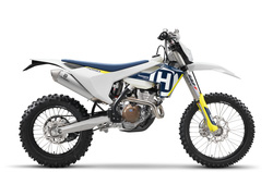 FE 250                              2018