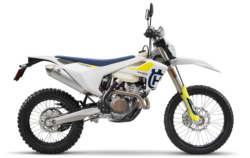 FE 250                              2019