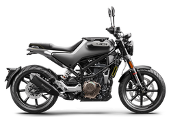 SVARTPILEN 401                      2021